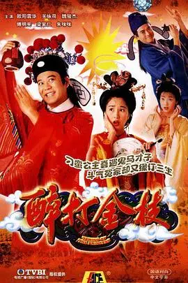 《醉打金枝》封面