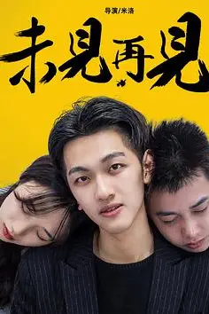《未见再见》封面