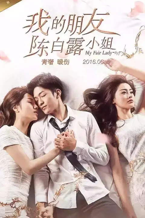 《我的朋友陈白露小姐》封面
