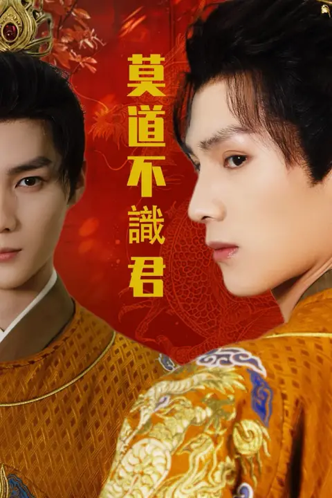 《莫道不识君》封面