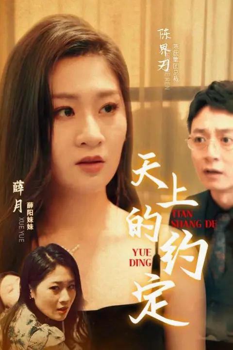 《天上的约定》封面