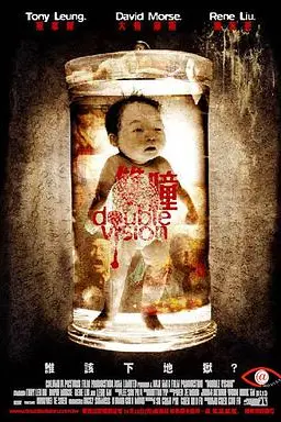 《双瞳》封面
