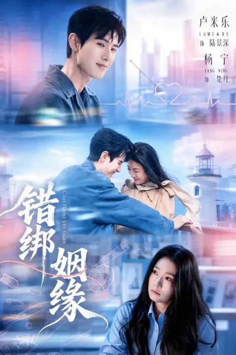 《错绑姻缘》封面