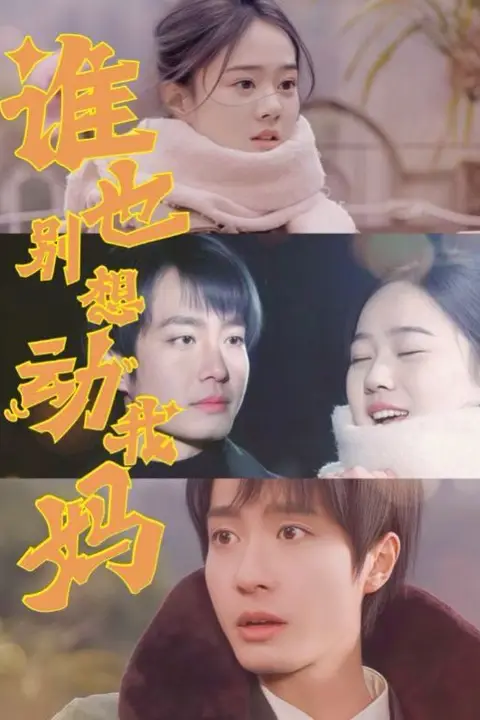 《谁也别想动我妈》封面