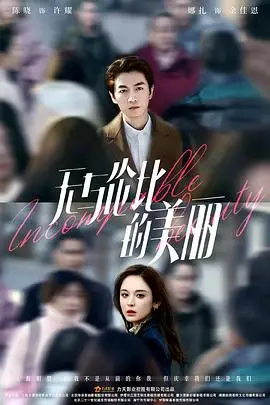 《无与伦比的美丽》封面