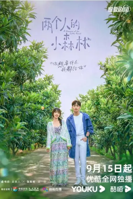 《两个人的小森林》封面