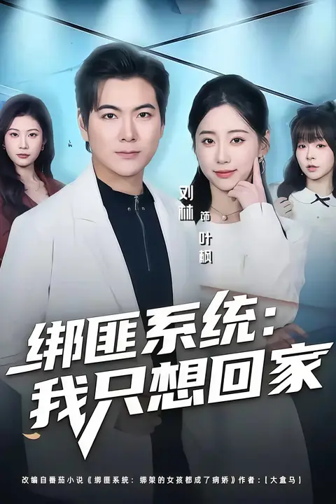 《绑匪系统：我只想回家》封面