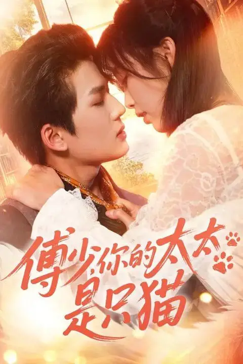 《傅少,你的太太是只猫》封面