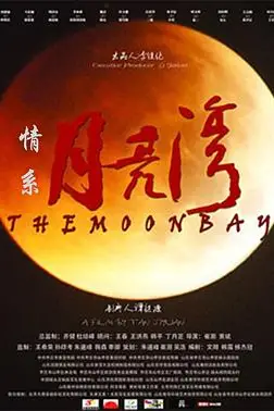 《情系月亮湾》封面