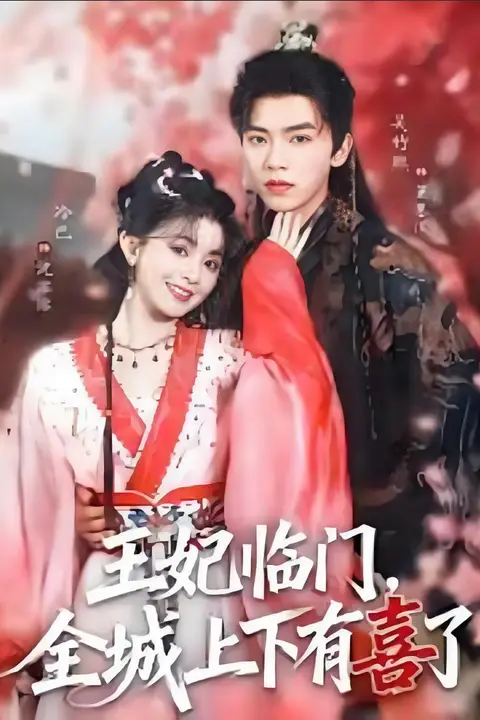《王妃临门全城上下有喜了》封面