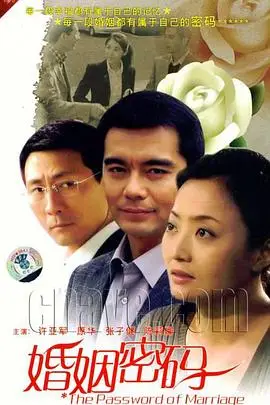 《婚姻密码》封面