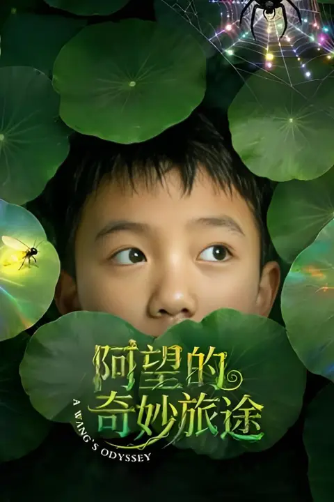《阿望的奇妙旅途》封面