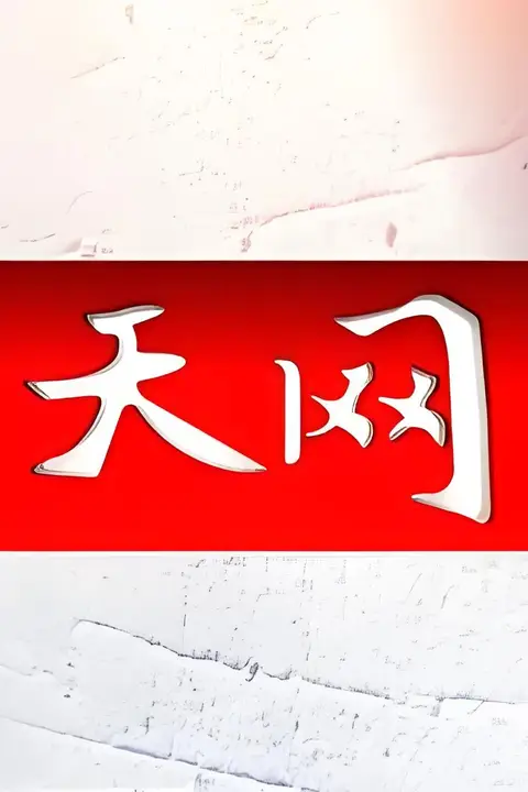 《天网》封面