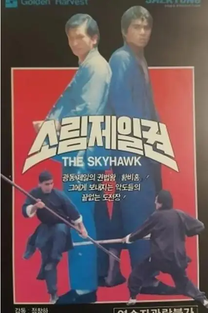 《黄飞鸿少林拳》封面