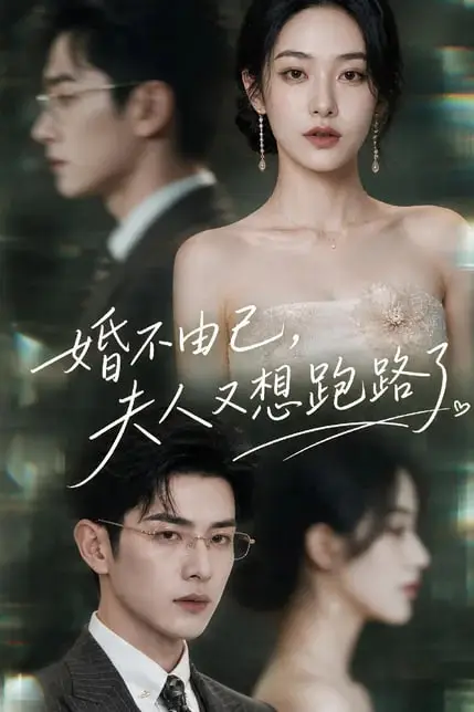 《婚不由己，夫人又想跑路了》封面