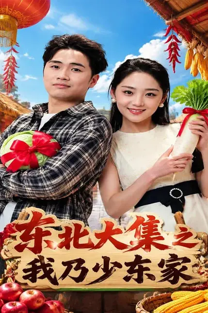 《东北大集之我乃少东家》封面