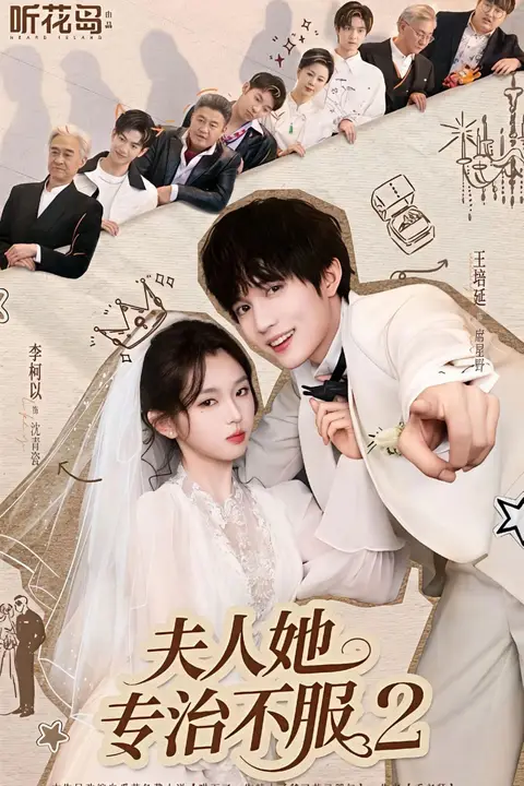 《夫人她专治不服2》封面