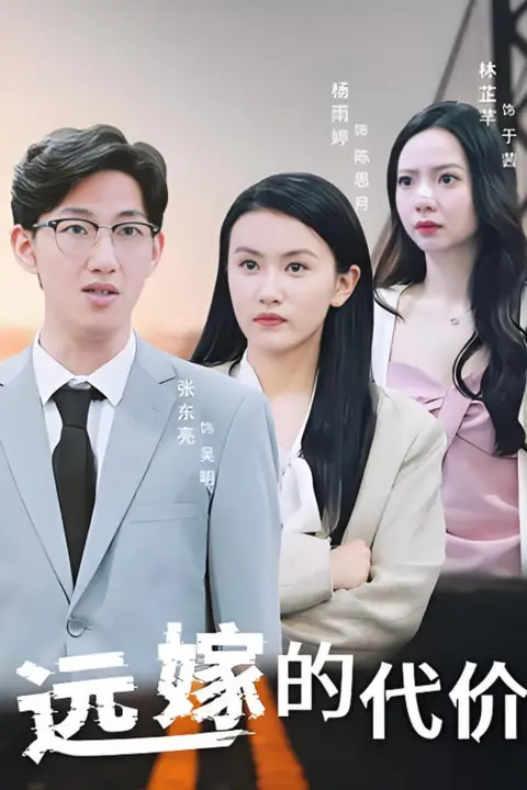 《远嫁的代价》封面