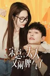 《宋总，夫人又闹脾气了》封面