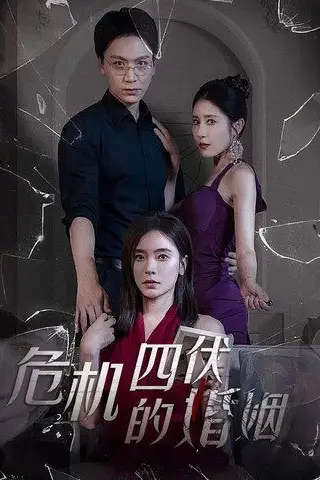 《危机四伏的婚姻》封面