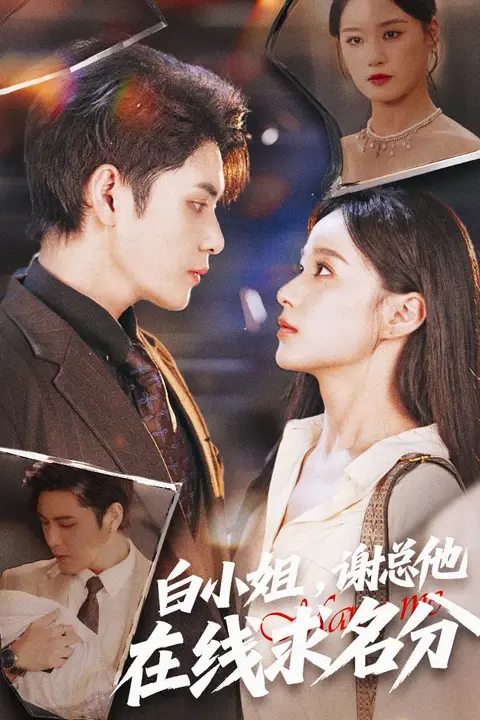《白小姐谢总他在线求名分》封面
