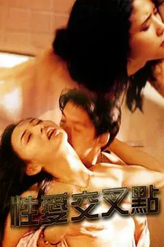 《性爱交叉点》封面