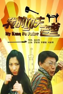 《我的功夫老爸》封面