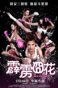 《霹雳囧花》封面