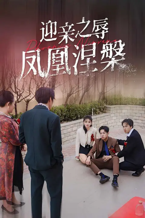 《迎亲之辱凤凰涅槃》封面