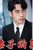 《新版： 妻子的复仇》封面