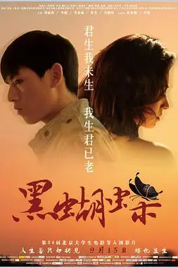 《黑蝴蝶》封面