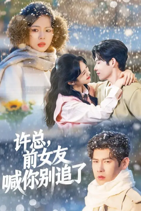 《许总，前女友喊你别追了》封面