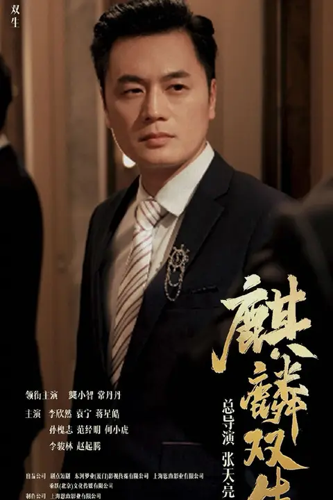 《麒麟双生》封面