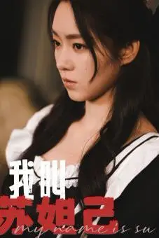 《我叫苏妲己》封面