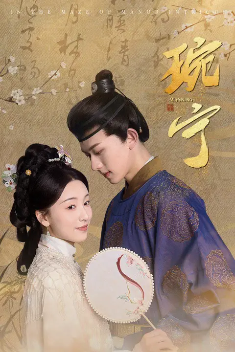 《琬宁》封面