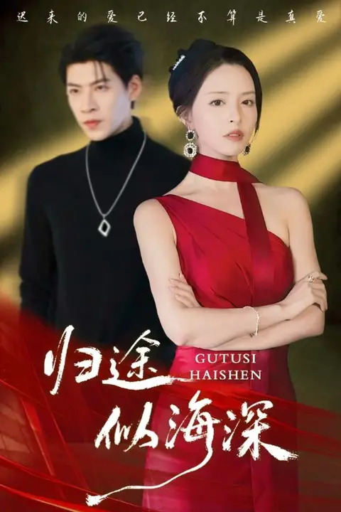 《归途似海深》封面
