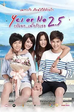 《想爱就爱2.5》封面