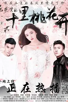 《范先生的十里桃花开》封面