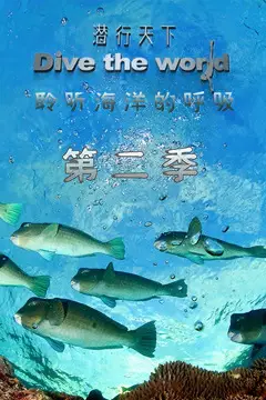 《潜行天下 第二季》封面