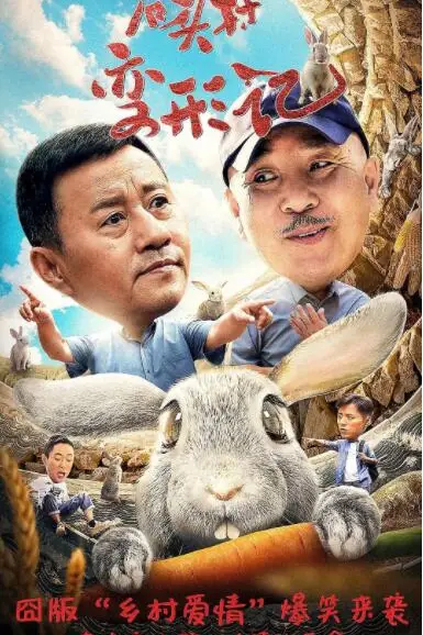 《石头村变形记》封面