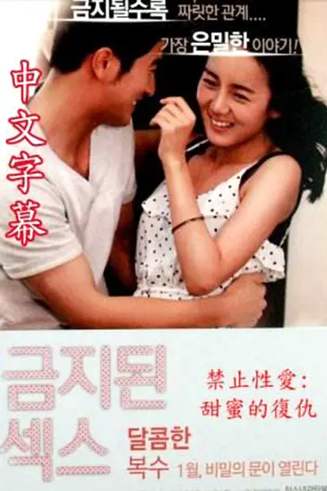 《禁止性爱:甜蜜的复仇》封面