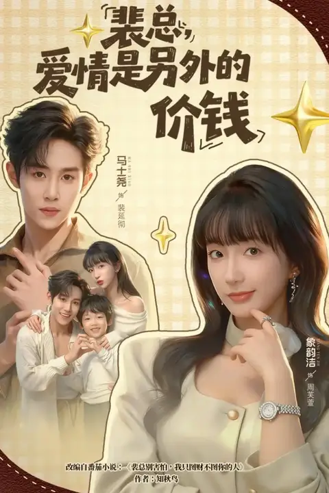 《裴总,爱情是另外的价钱》封面