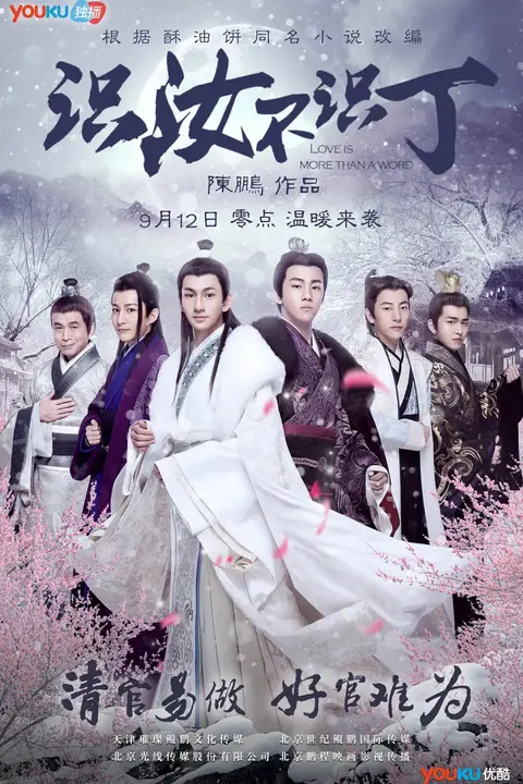 《识汝不识丁》封面
