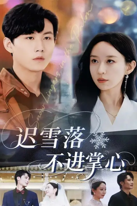 《迟雪落不进掌心》封面
