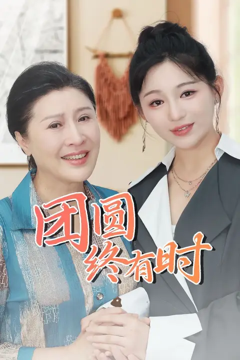 《团圆终有时》封面