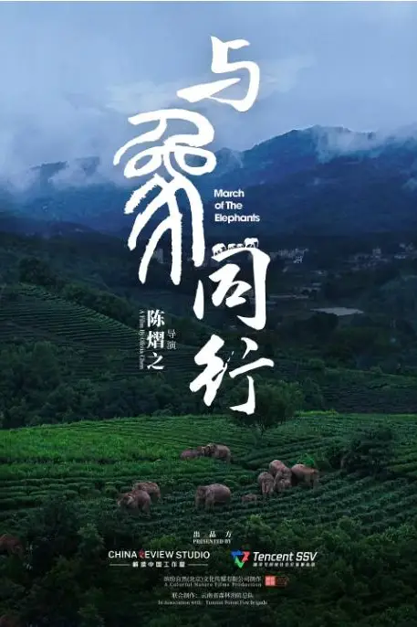 《与象同行》封面