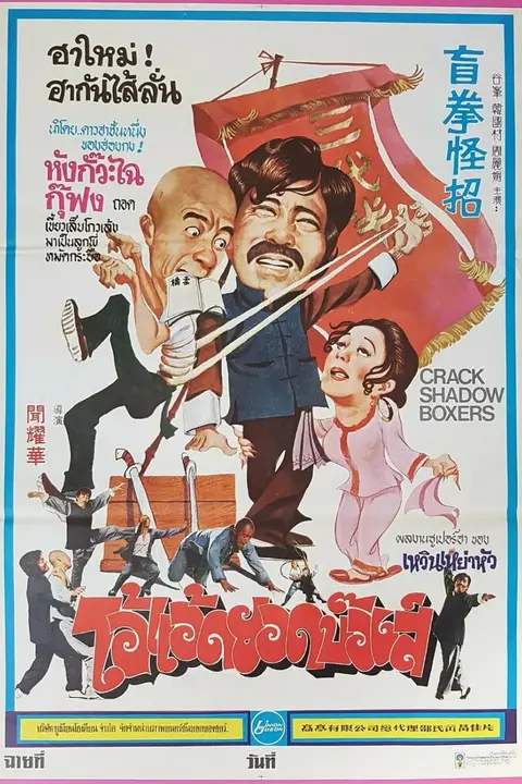 《盲拳怪招》封面