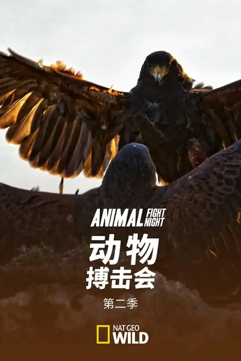 《动物搏击会 第二季》封面