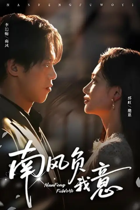 《南风负我意》封面