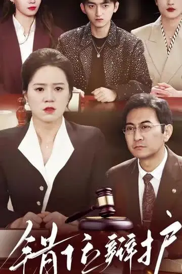 《错位辩护》封面